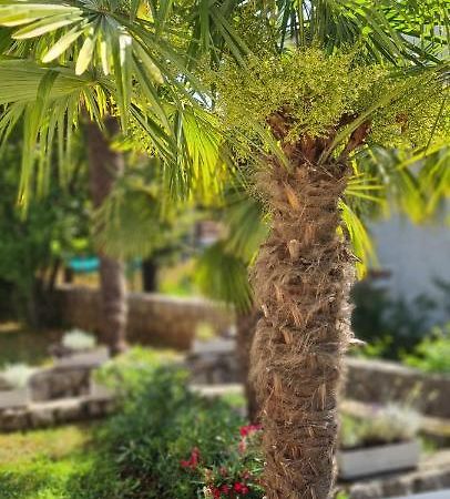 Apartment Garden & Sea 沃洛斯科 外观 照片