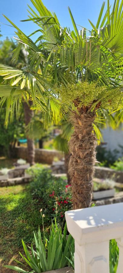 Apartment Garden & Sea 沃洛斯科 外观 照片